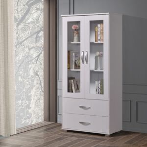 خزانة كتب وملفات بابين ودرجين من كايرو