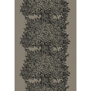 ورق جدران جيرد - بني واسود