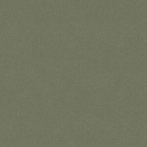 ورق جدران سادة من بيجمنت - اخضر داكن