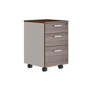 خزانة ملفات وكتب 3 أدراج تنلى