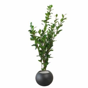 شجرة صناعية ورق اخضر - 120 سم