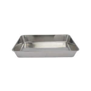 صينية ياباني سكوالو كاب 56 سم