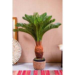 نبتة صناعية بمركن غرين تشارم - أخضر وبني