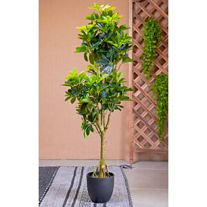 نبات صناعي غريناس