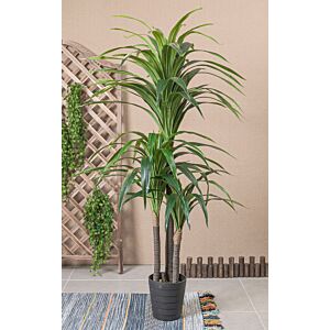 نبات صناعي سيزوس - اخضر